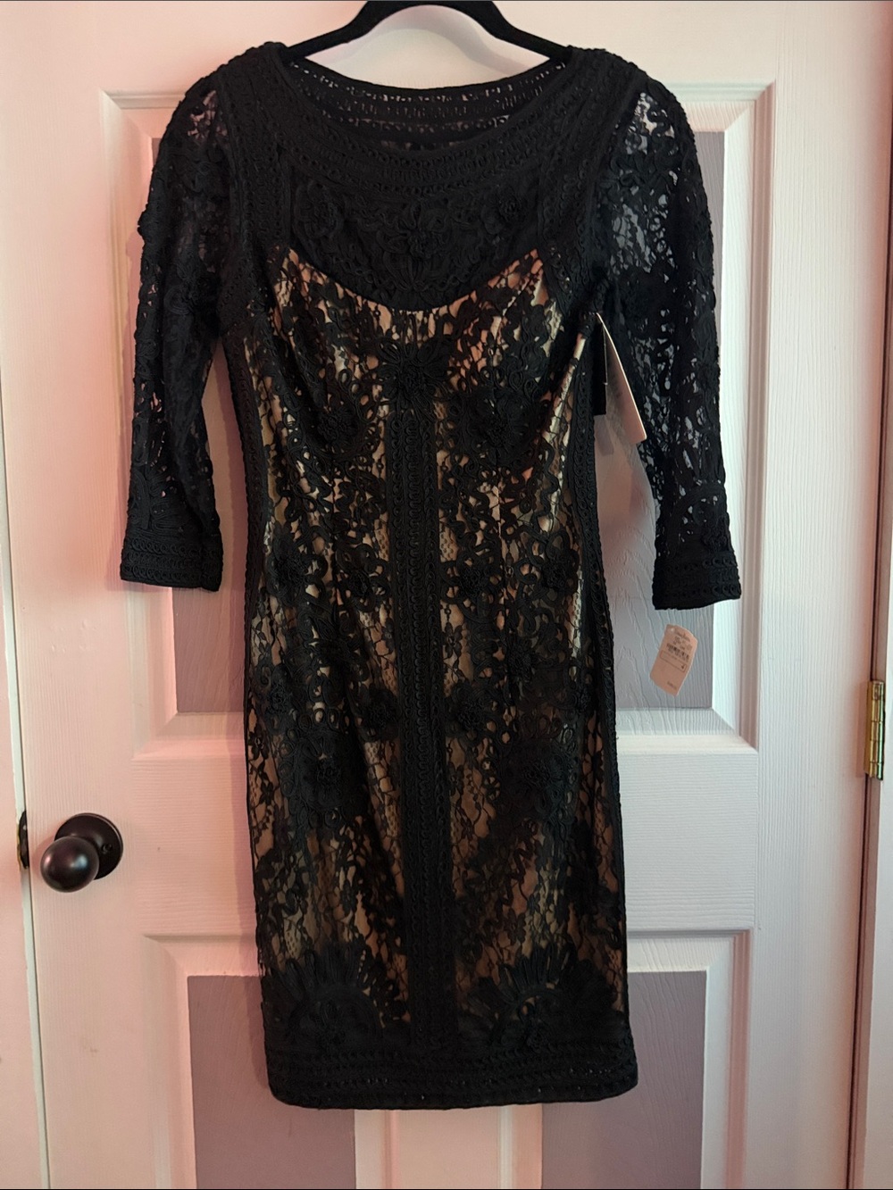 Sue Wong Black Lace With Nude Lining Sheath Dress - Women